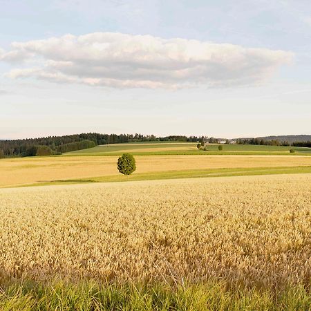 Apartmán Bantlehof Niedereschach Exteriér fotografie