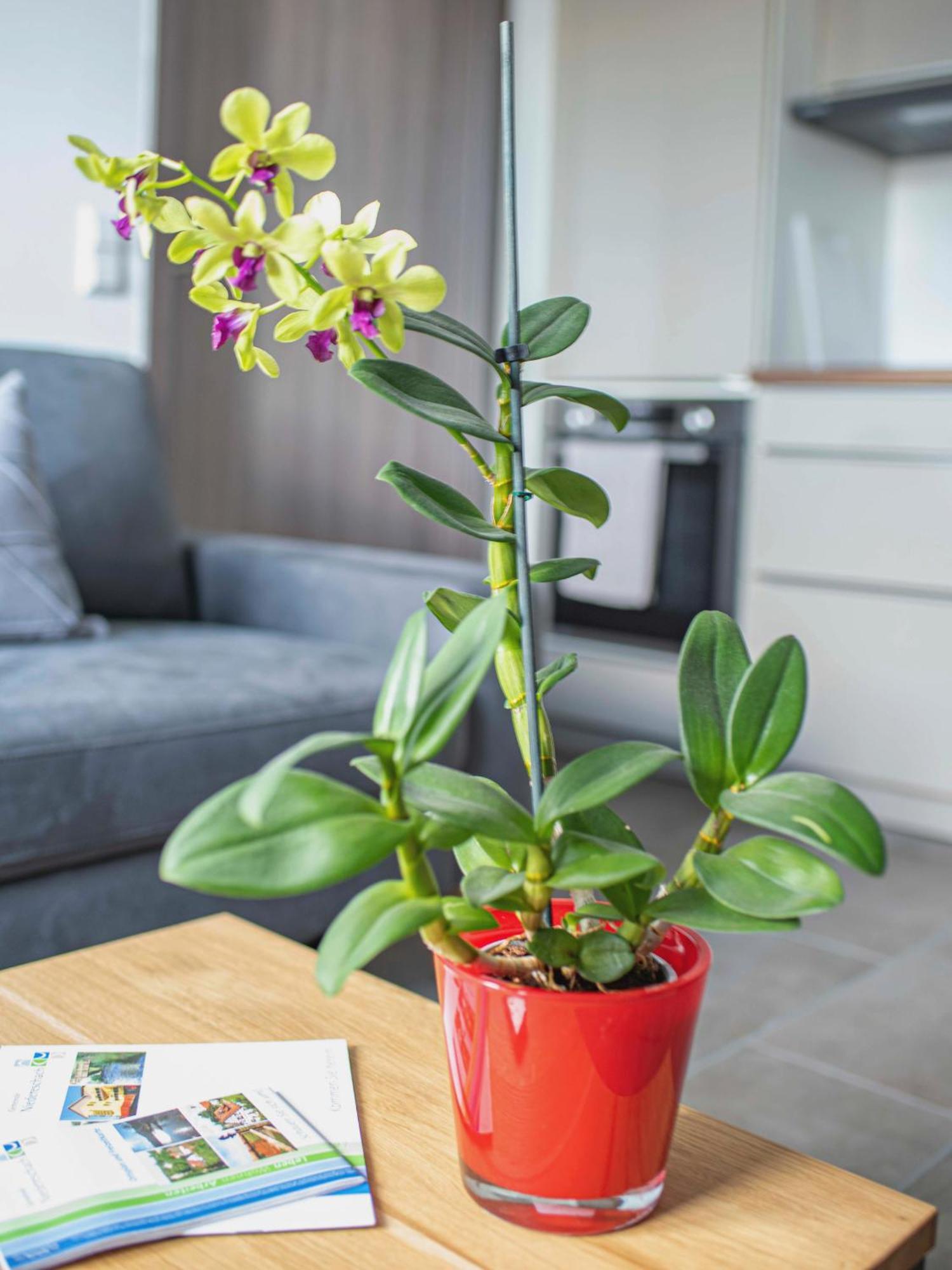 Apartmán Bantlehof Niedereschach Exteriér fotografie